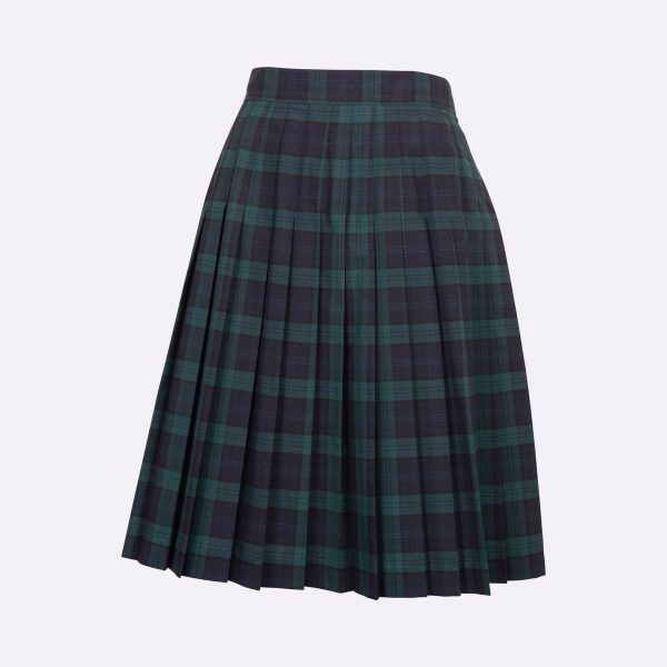 Summer Skirt