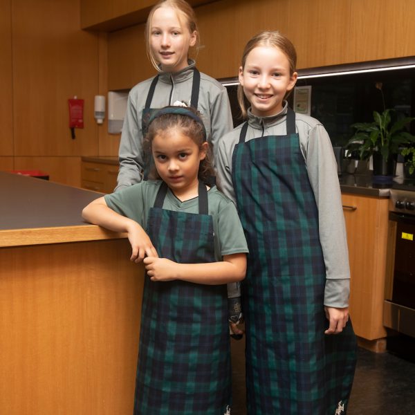 Limited Edition Black Watch Tartan Apron